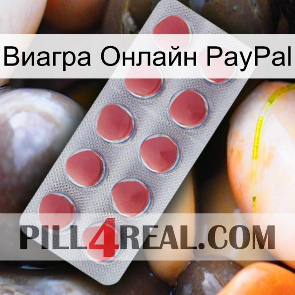 Виагра Онлайн PayPal 18.jpg